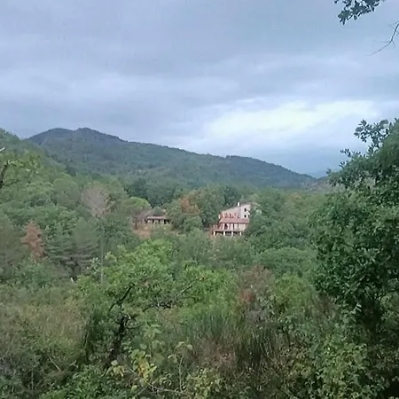 La Colline Aux Oiseaux - Quatre *