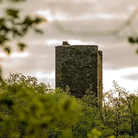 La Colline Aux Oiseaux - Quatre Val-du-Faby